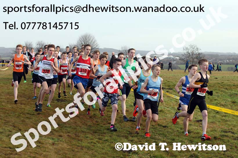 Boys under-15s North Eastern Cross Country, Aykley Heads, Durham. Photo: David T. Hewitson/Sports for All Pics